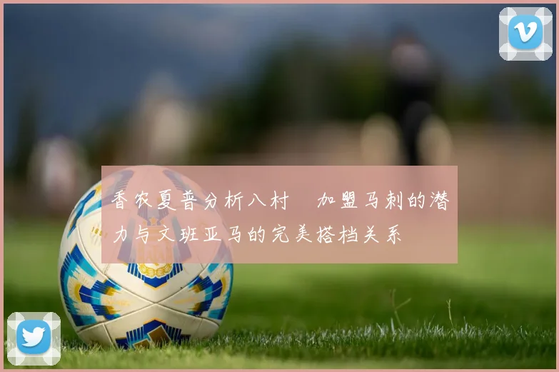 香农夏普分析八村塁加盟马刺的潜力与文班亚马的完美搭档关系